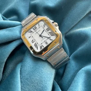 cartier 4 scaled 1.webp