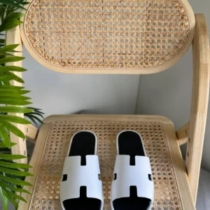 hermes 103 scaled 1.webp