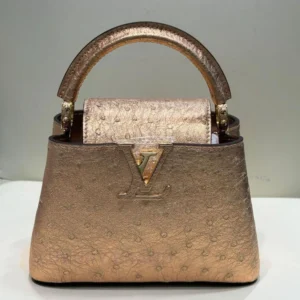 louis vuitton 19.webp