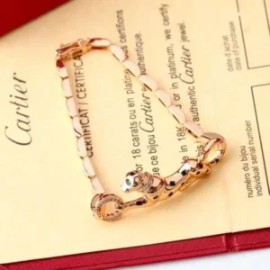 cartier 21.webp