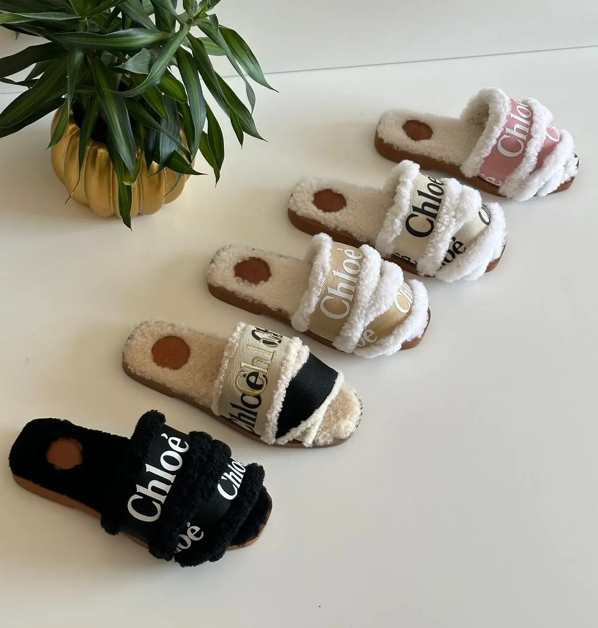 chloe 17.webp chloe 17.webp