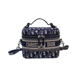 christian dior vanity case bag.webp