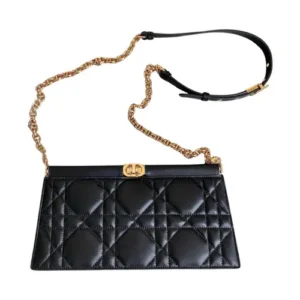 dior bag 1.webp