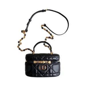 dior bag 6.webp