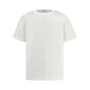 dior oversized oblique t shirt.webp