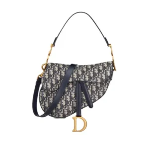 dior saddle bag 1.webp
