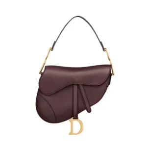 dior saddle bag.webp