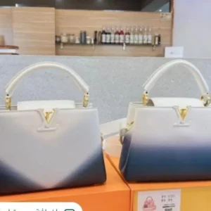 louse vuitton 128.webp