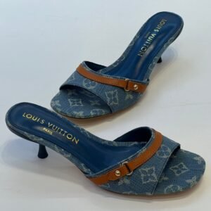 louse vuitton 750.jpeg