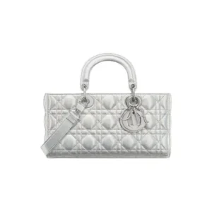 medium dior lady d joy bag.webp