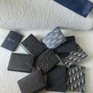 passport dior 1.webp